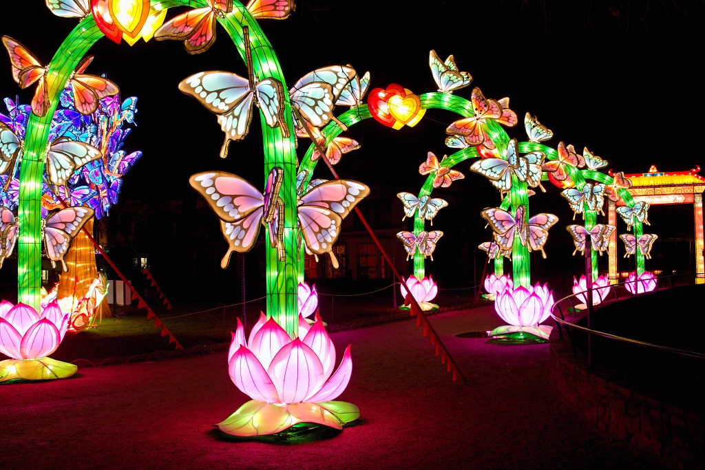 china light licht festival lichtshow show festiviteit glow evenement event chinees chinese verlichting draak dragon lichtfestival zoo